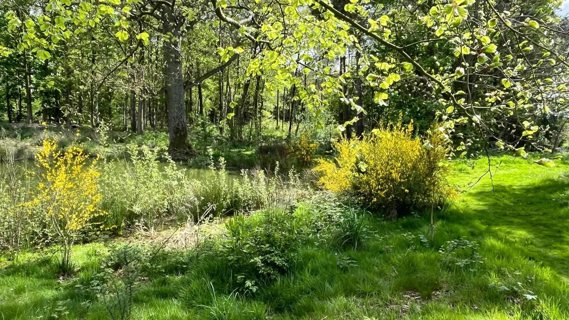 Oak Boutique Lodge Includes Hot Tub Air Con & Dog York 0*,  Storbritannien