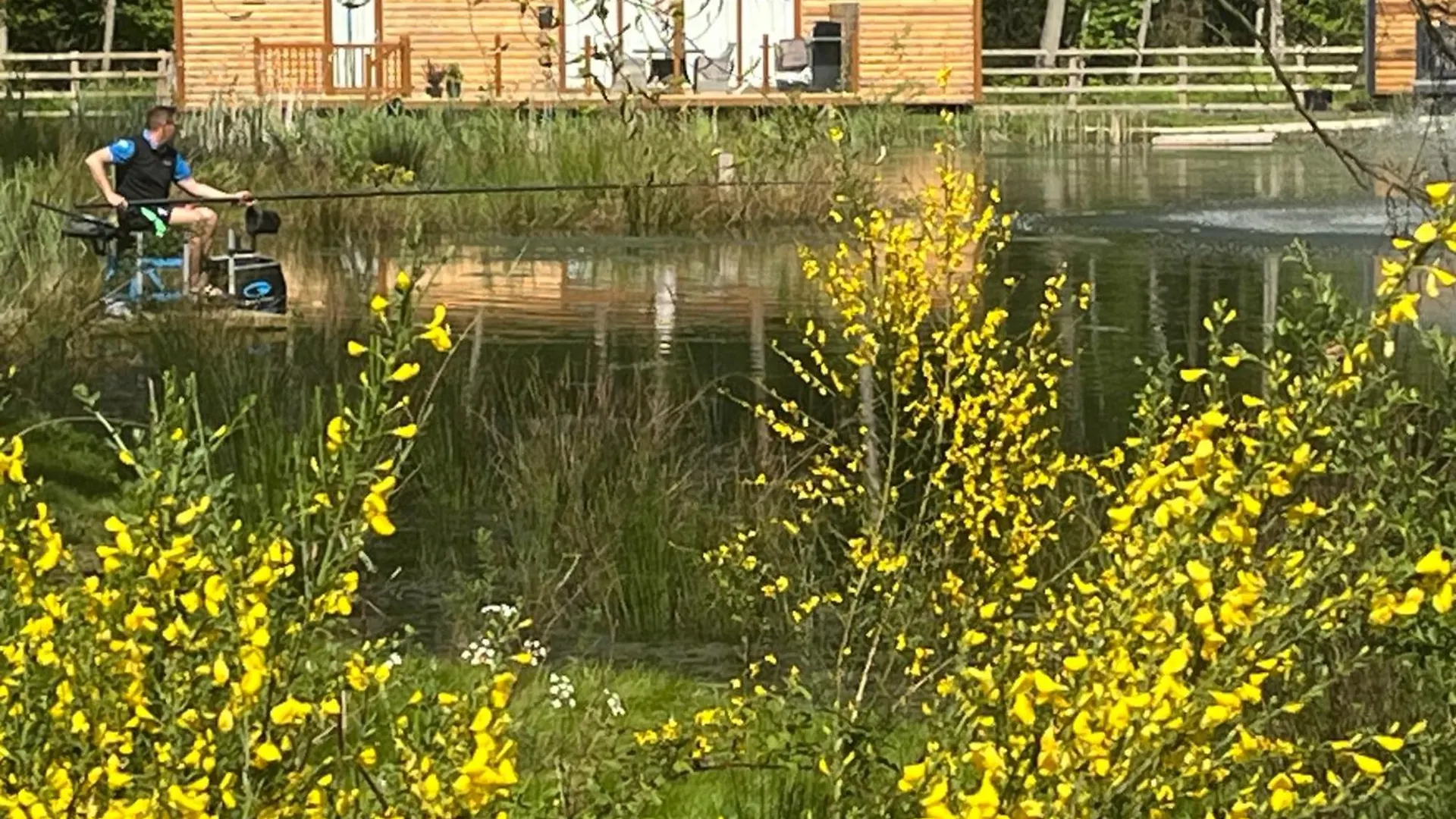 Oak Boutique Lodge Includes Hot Tub Air Con & Dog York Feriehus